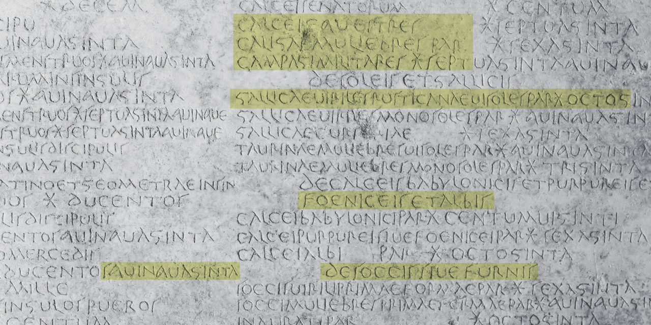 Turkish writing with Transcription overlay.